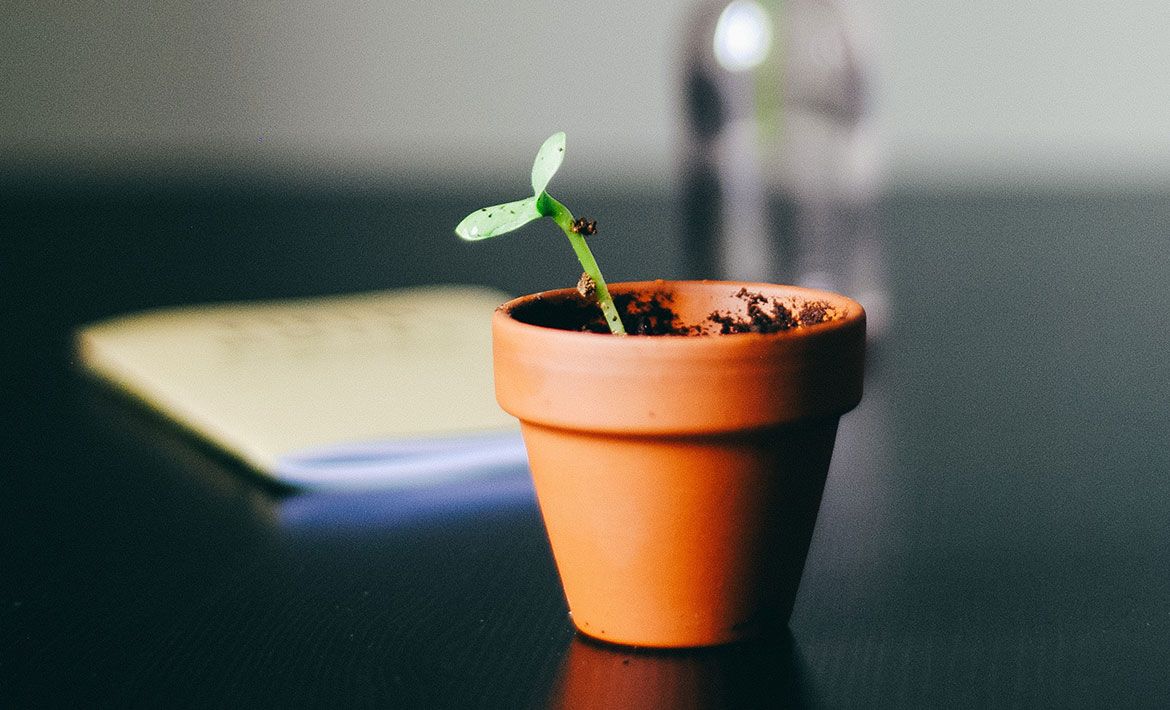 How to nurture leads and win deals